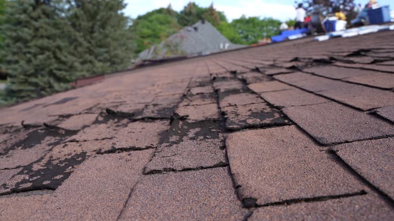 4 Ply Roofing in Shavertown, PA